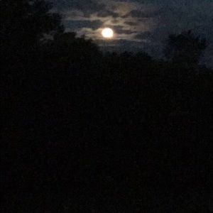 Meet your Posher, Serenity